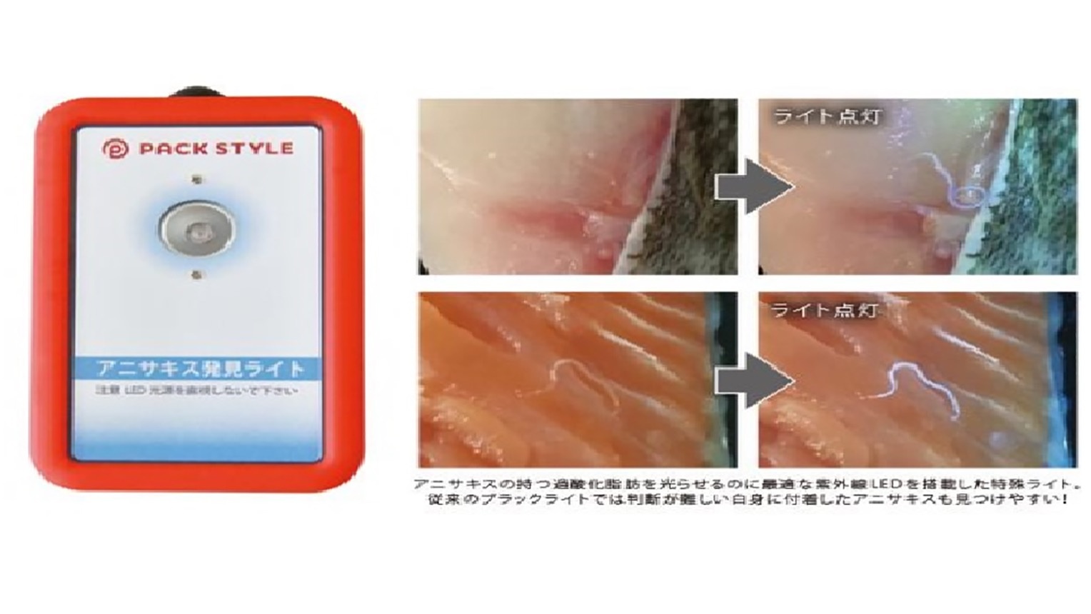 アニサキス発見ライト特集 | Youki Style Magazine（容器スタイル 