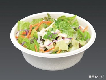 エコ容器 BB竹バガス ボウル 500 パルプモールド サラダ容器 本体 クラフト色