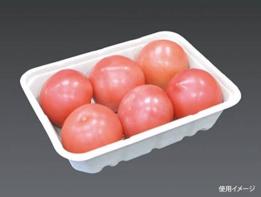 エコ容器 BB竹バガス ボックス パルプモールド 弁当容器 本体 クラフト色