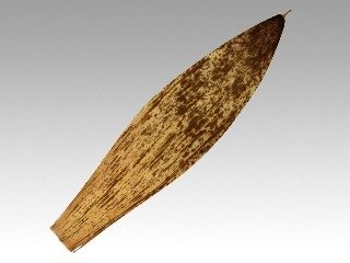 竹皮 #400 1kg(約120枚)