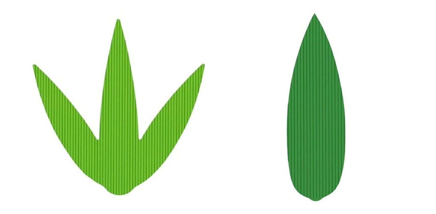弁当によくついている「バラン」とは?意味やおすすめの商品をご紹介! | Youki Style Magazine(容器スタイルマガジン)