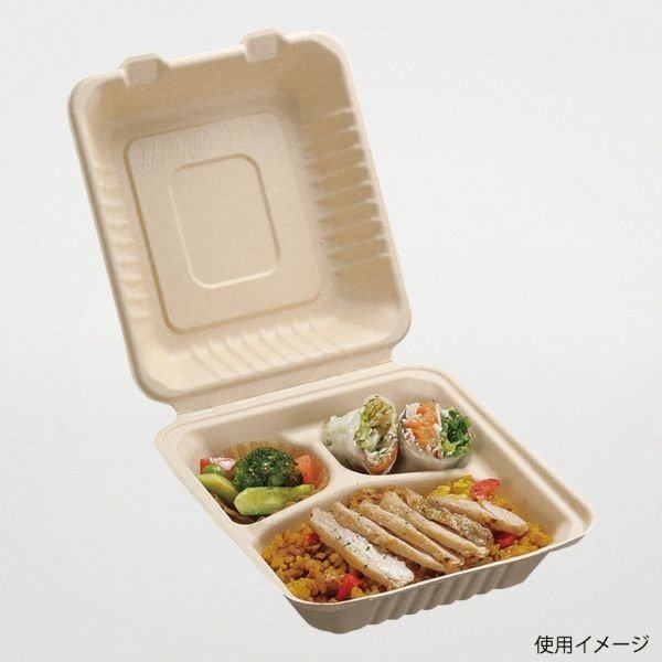 弁当容器(バガス・パルプモールド) パックスタイル BBランチ 200-220-3