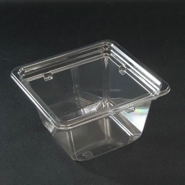 【正角】サラダ容器 バイオカップ キューブ11-60B リスパック