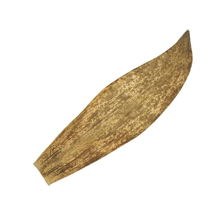 天然竹ノ皮NO.大(広) 1kg 松本