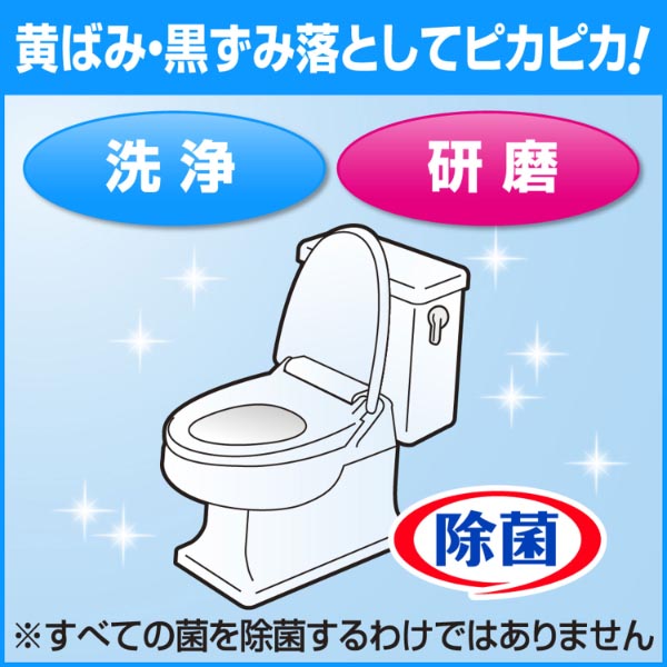 トイレクリーナー トイレマジックリン 強力クレンザー 4.5kg 花王 花王