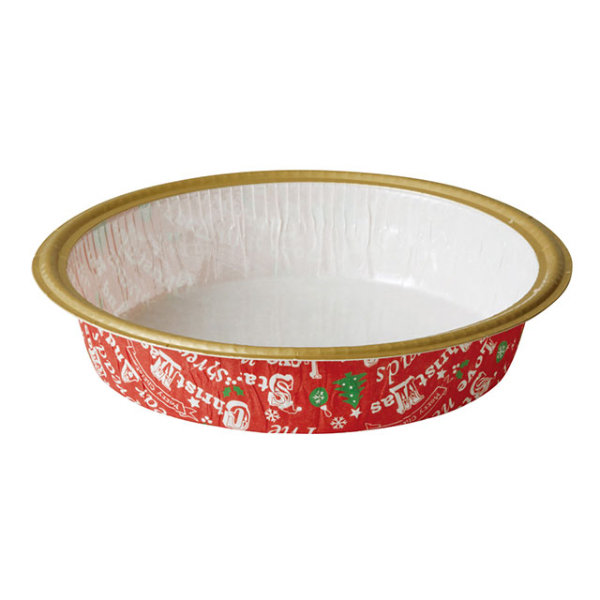 XE01 エコライトスモール(クリスマススター)