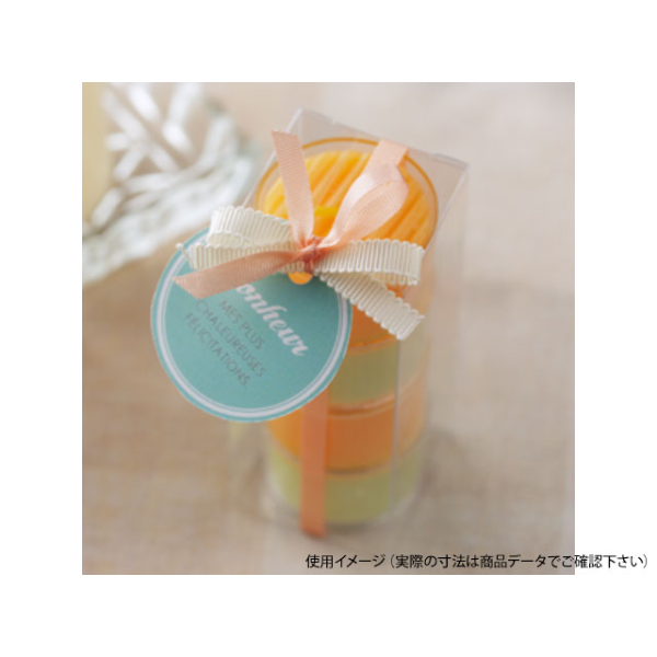 ラッピング用品 ピュアケース PN4-3 大森