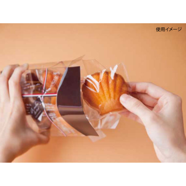 ラッピング用品 エアロケースオーバル AO-120 フレンチ 大森
