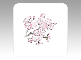 コースター No.130 桜 角 100入 カミイソ産商