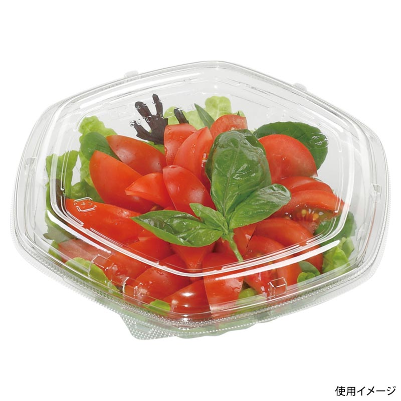 サラダ容器 APヘキサ 19-18(55) 本体 エコ エフピコ