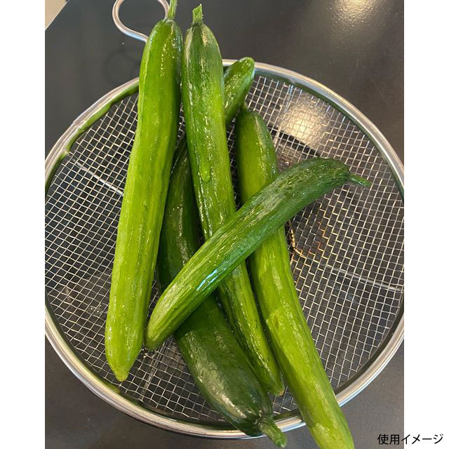 調理用品 kan リング付盆ザル 24cm カンダ