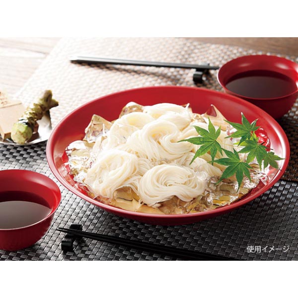中華用食器 メタル丼サーラ Jr 塗装仕様 赤 カンダ