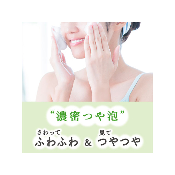 フィエスタ 洗顔・手洗いフォーム2L 花王