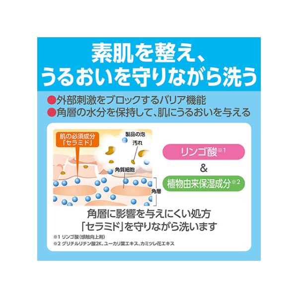 【介護/医療】 ソフティ 泡のヘッドアンドボディシャンプー2L 花王