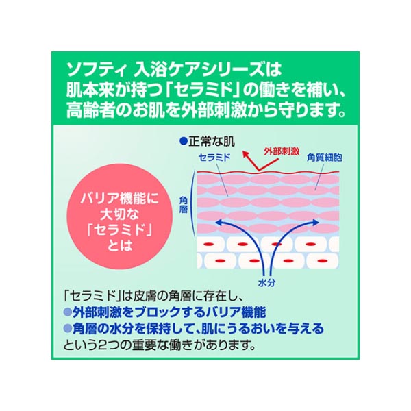 【介護/医療】ボディーソープ ソフティ 薬用ボディウォッシュ 2L 花王