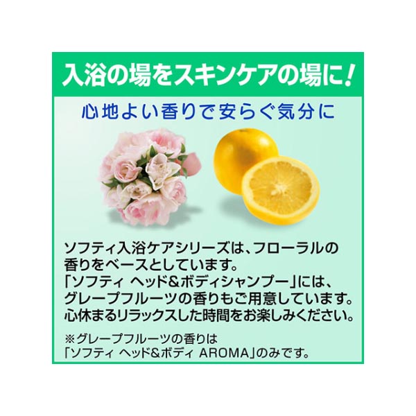 【介護/医療】ボディーソープ ソフティ 薬用ボディウォッシュ 2L 花王