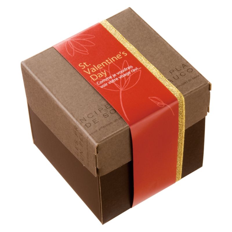 ヘッズ 掛け紙・のし紙 掛ケ紙 バレンタインデイ-2(100枚)