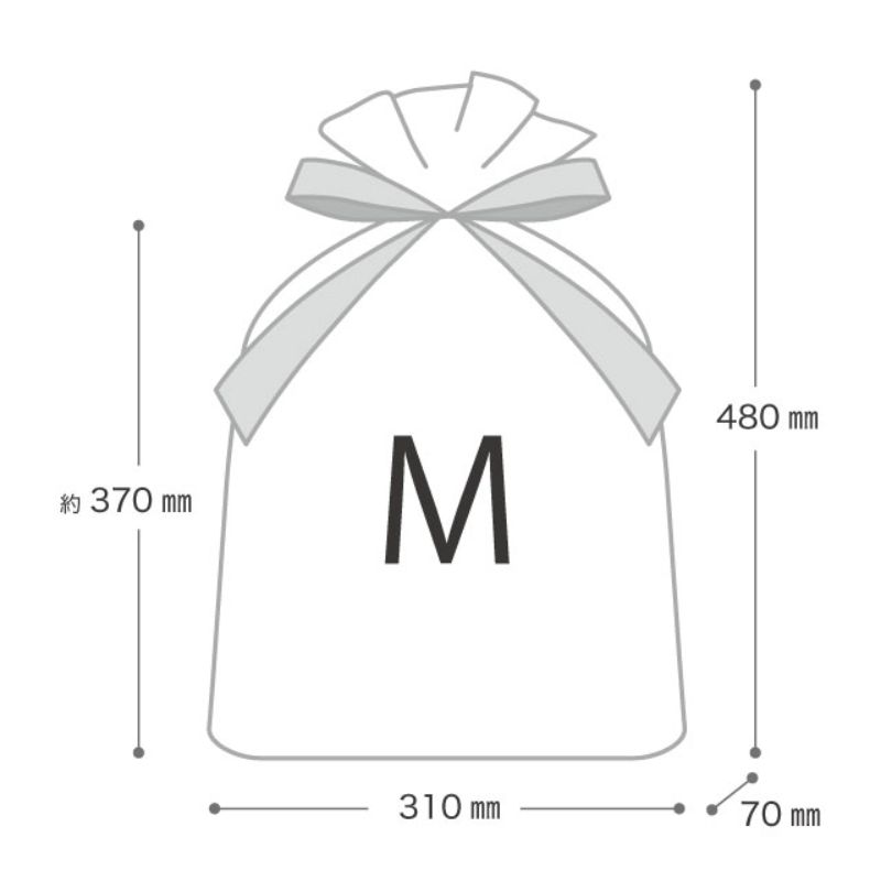 袋 ミントストライプリボン付PEギフトバッグ-M(20枚) ヘッズ