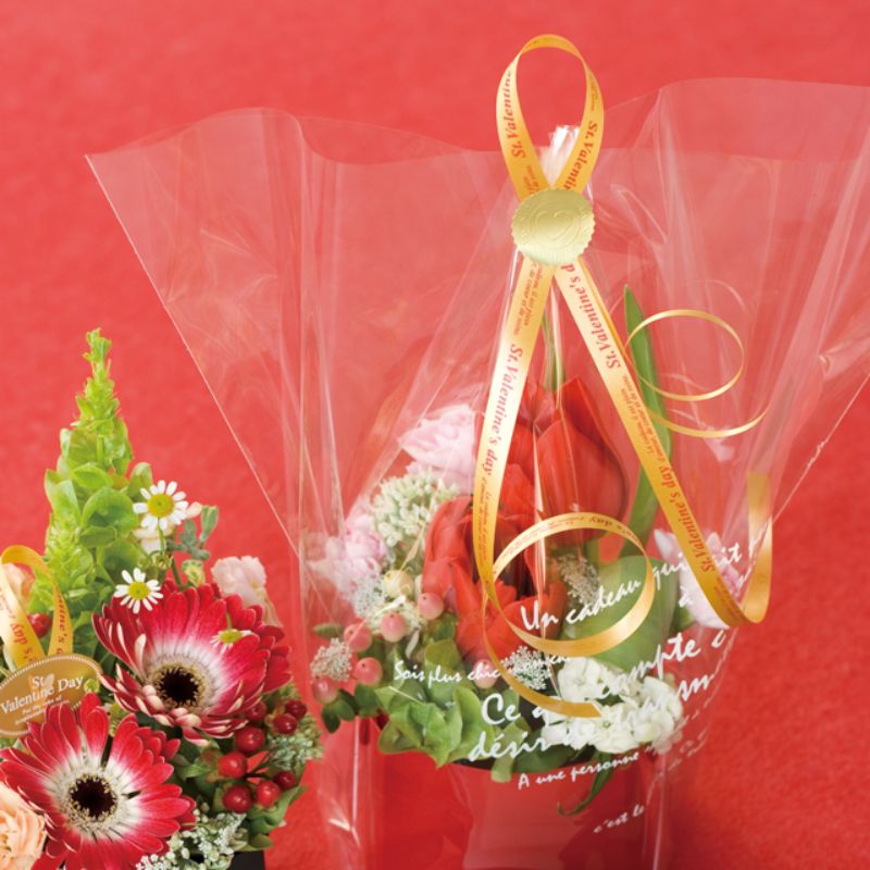 バレンタインデイプリントカーリングリボン-1(1巻) ヘッズ