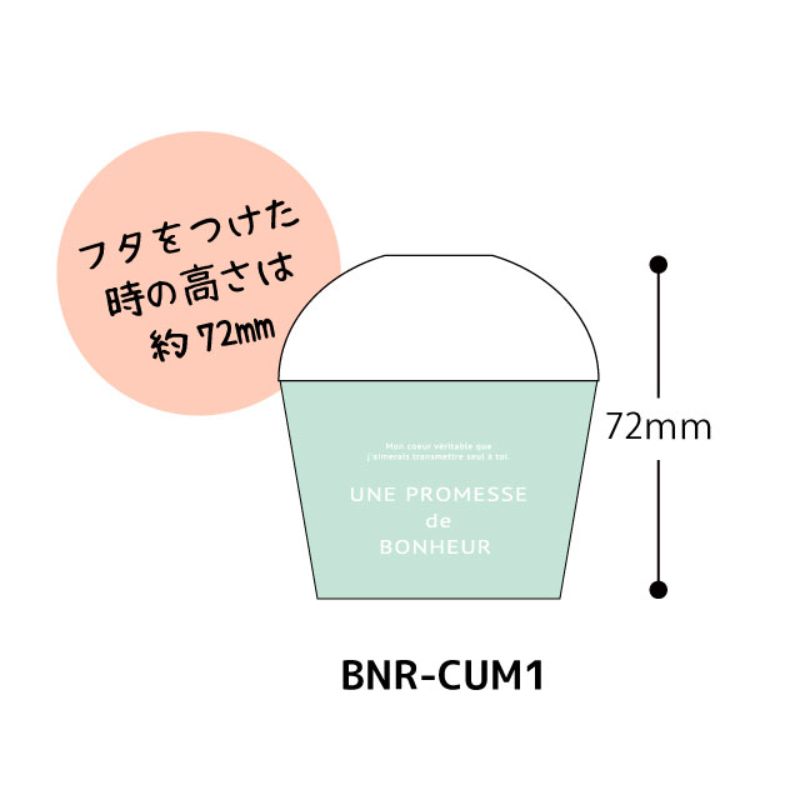 ケーキカップ ボヌールカップ-1 ミントブルー(100個) ヘッズ