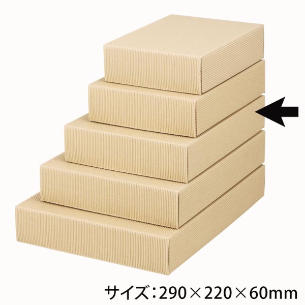ギフト箱 ナチュラル60中 ヤマニパッケージ