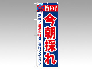 のぼり 21689 旨い！今朝採れ P・O・Pプロダクツ