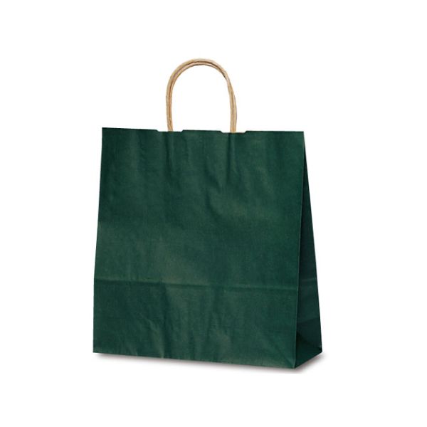 紙手提袋 1664 自動紐手提袋 T-6 カラー(緑) ベルベ