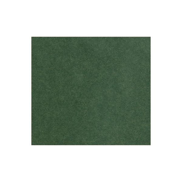 372 包装紙 ナチュラルカラー(緑) ベルベ