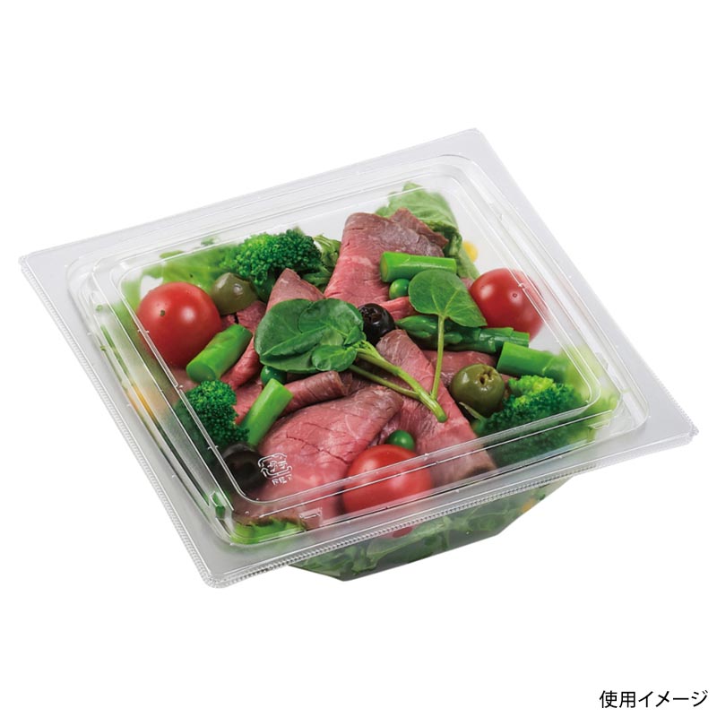 サラダ容器 APアングル 18-18(50) 本体 エコ エフピコ
