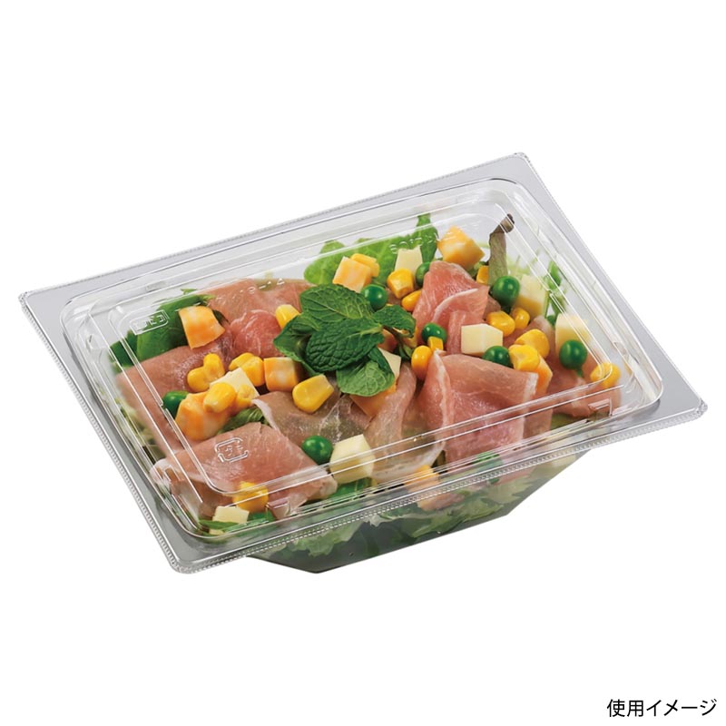 サラダ容器 APアングル 19-14(50) 本体 エコ エフピコ
