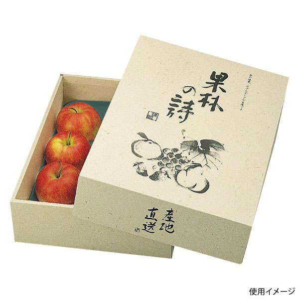 ギフト箱 L-293 果林の詩 ヤマニパッケージ