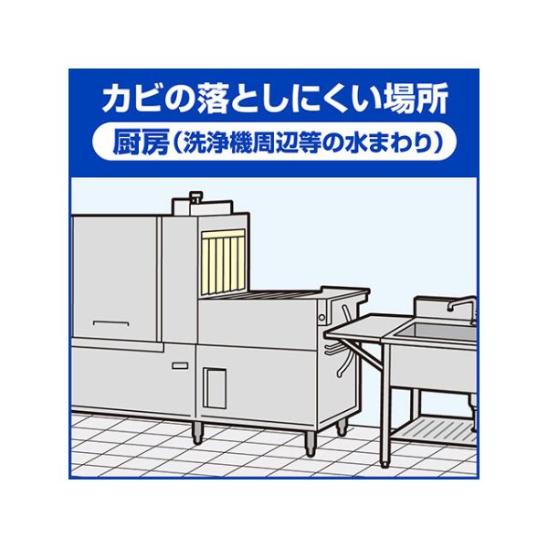 漂白剤 強力カビハイター 業務用 スプレー付き1L 花王