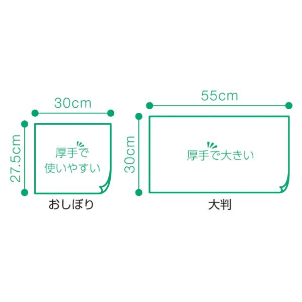 からだふきぬれタオル 大判 1枚入(30袋) オオサキメディカル