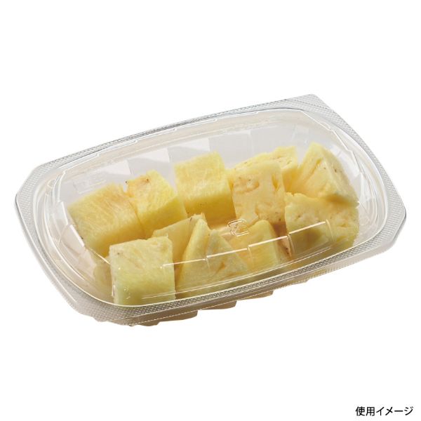 冷麺容器 FDR2 本体 エフピコ