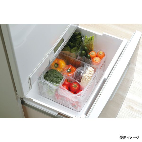 スキット 野菜室・冷凍室トレー(スリム) パール金属