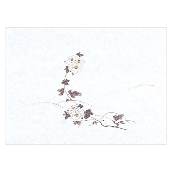 保鮮紙 M30-374 鮮度保持紙 (小) 菊 100枚入 マイン
