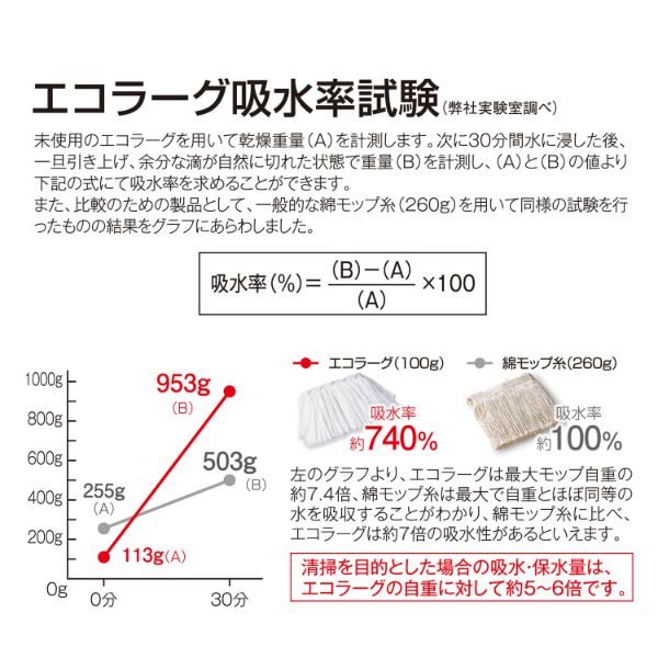 エコラーグ 24cm 約100g 10枚入 テラモト