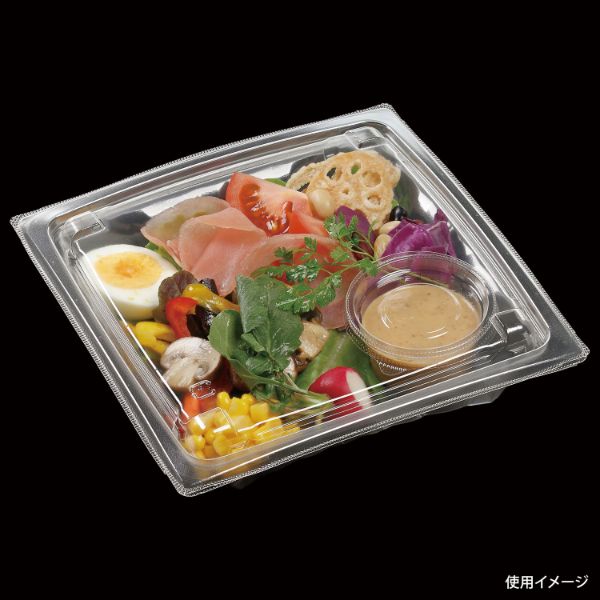 サラダ容器 APアーチ19-19(40) 本体 エコ エフピコ