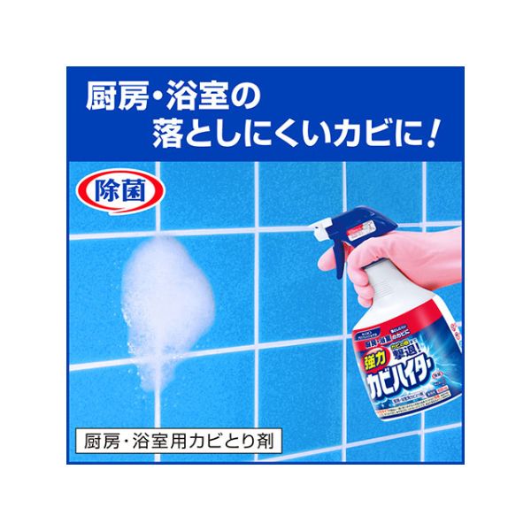 漂白剤 強力カビハイター 業務用 つけかえ1L 花王