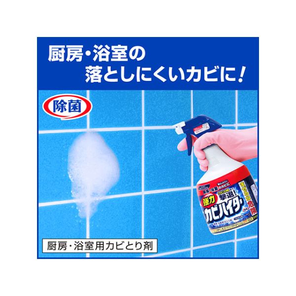 漂白剤 強力カビハイター 業務用 つけかえ1L 花王