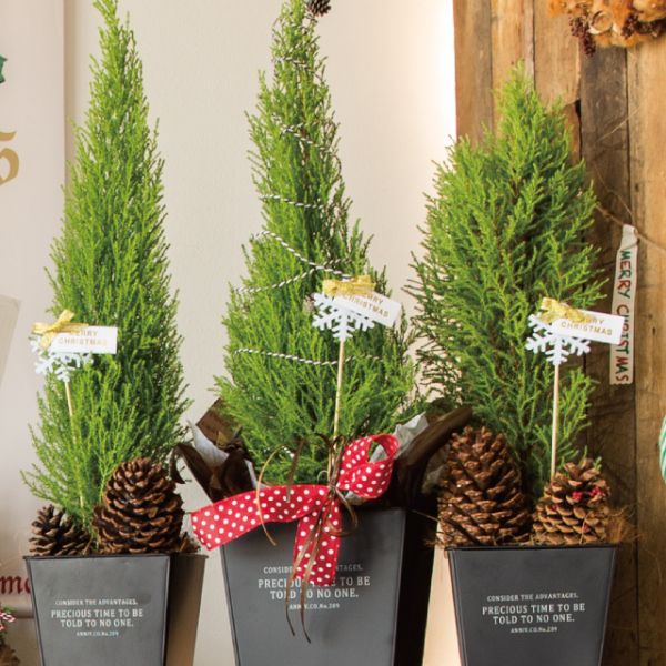 弁当ピック クリスマスフラワーピック-4/雪結晶(10本) ヘッズ