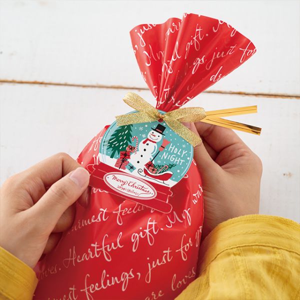 クリスマスミントブルー ワイヤータイ-1(10個) ヘッズ