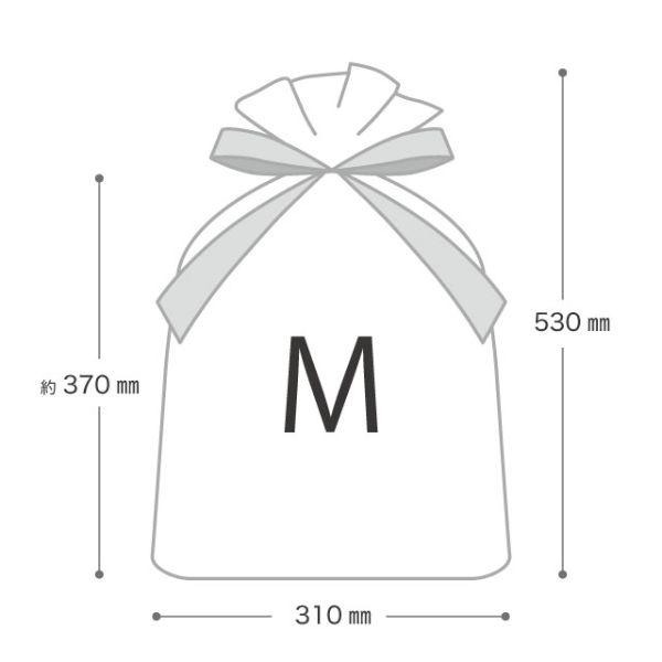 エコバッグ シンプルクリスマス グリーン 不織布バッグ-M(10枚) ヘッズ
