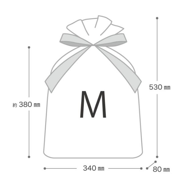 袋 ベーシッククリスマス リボン付PEギフトバッグ-M(20枚) ヘッズ