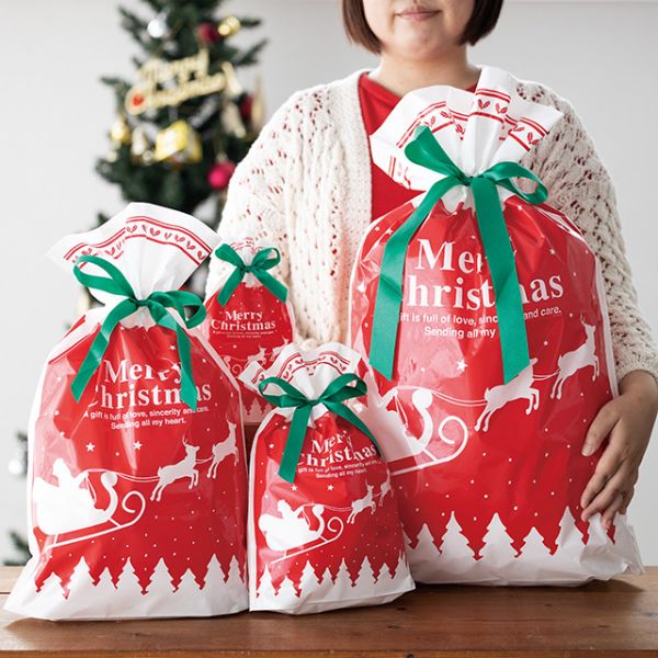 袋 ベーシッククリスマス リボン付PEギフトバッグ-S(20枚) ヘッズ