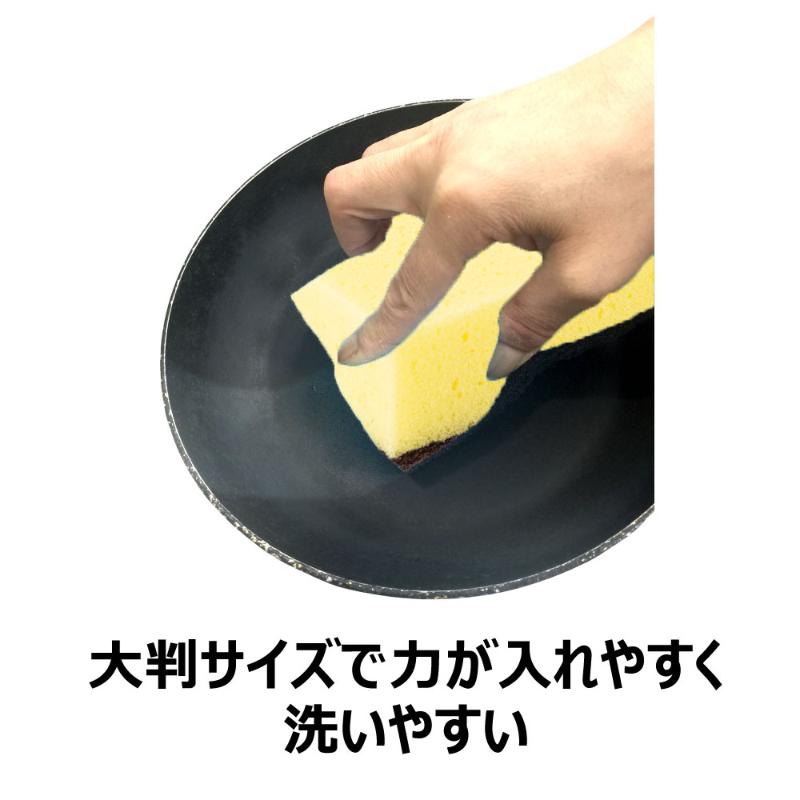 スポンジ キクロンC Y キクロン