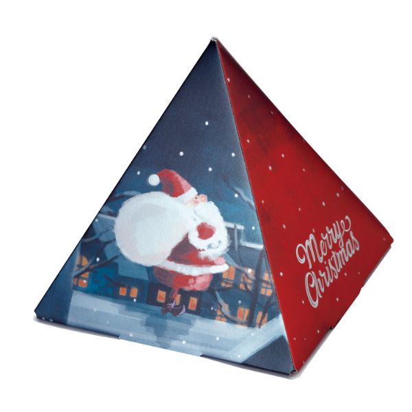 贈答箱 20-2086 スノーサンタ テトラ ヤマニパッケージ