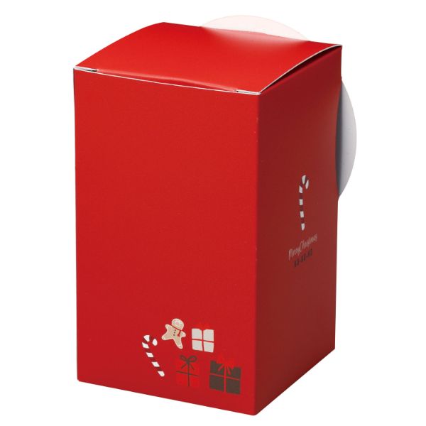 ギフト箱 20-2169 ガオーBOX クリスマス ヤマニパッケージ