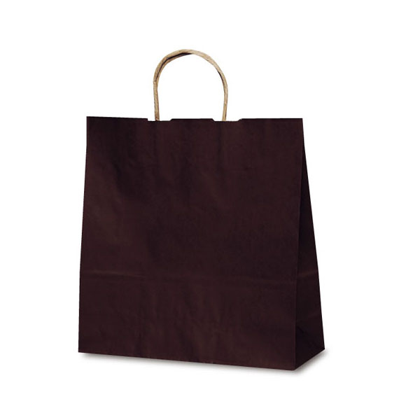 紙手提袋 1646 自動紐手提袋 T-6 カラー(カカオ) ベルベ