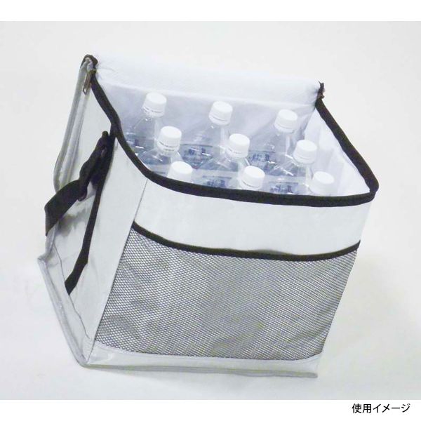 保冷バッグ デリス シルバーソフトクーラーバッグ 30L パール金属